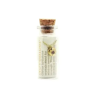 Lucky Feather Birthstone Bottle Necklace: November