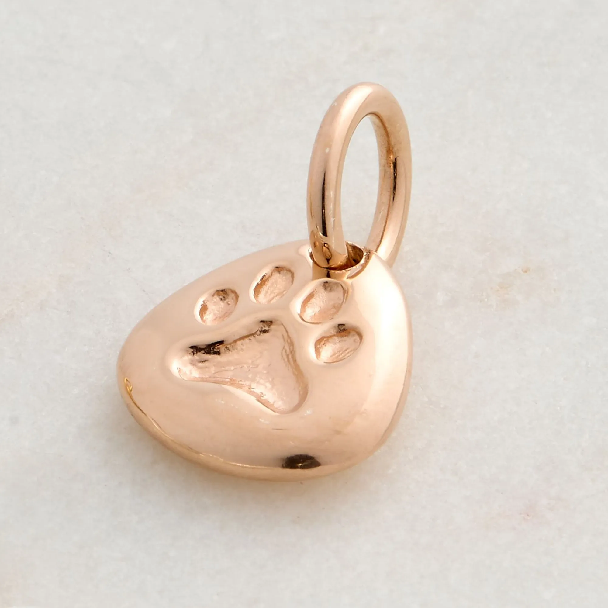 Pet Paw Personalised Silver Charm